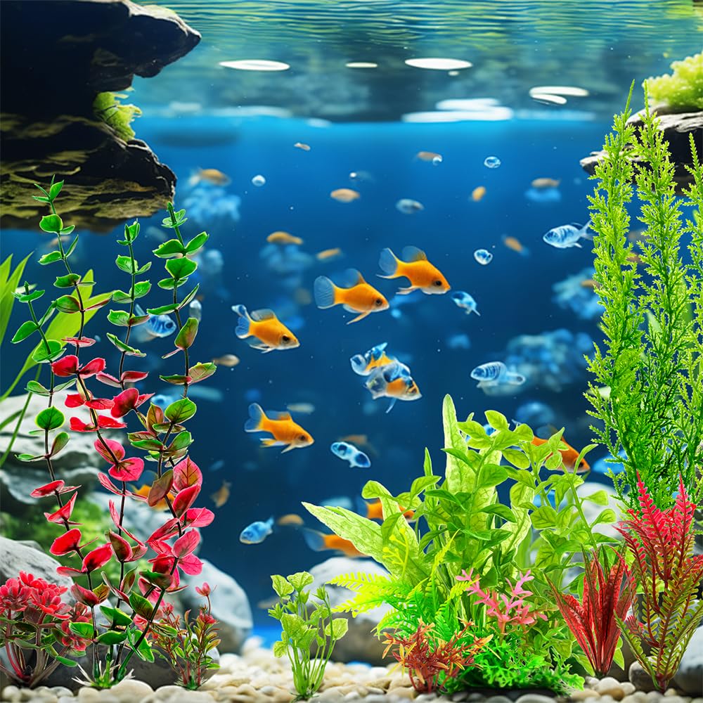 ViiWxx décor aquarium en situation améliorant esthétique du bac