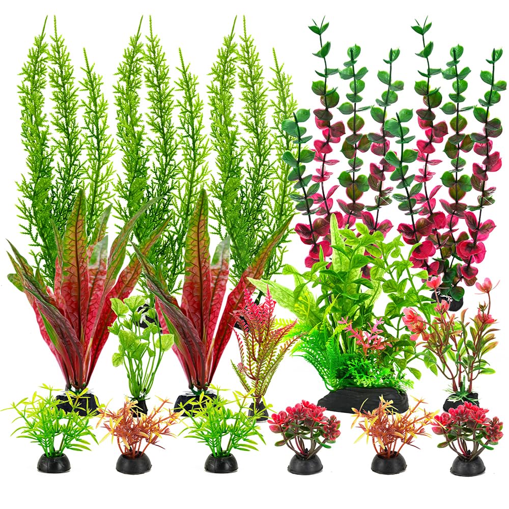 ViiWxx ensemble face montrant 18 plantes et couleurs vives