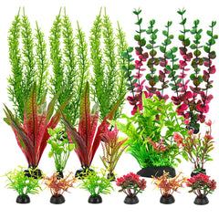 ViiWxx ensemble face montrant 18 plantes et couleurs vives
