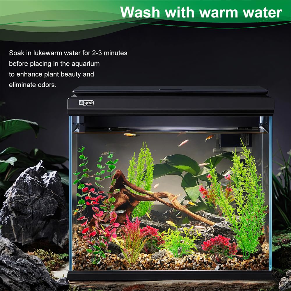 ViiWxx plantes installées dans aquarium favorisant cachettes poissons