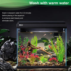 ViiWxx plantes installées dans aquarium favorisant cachettes poissons