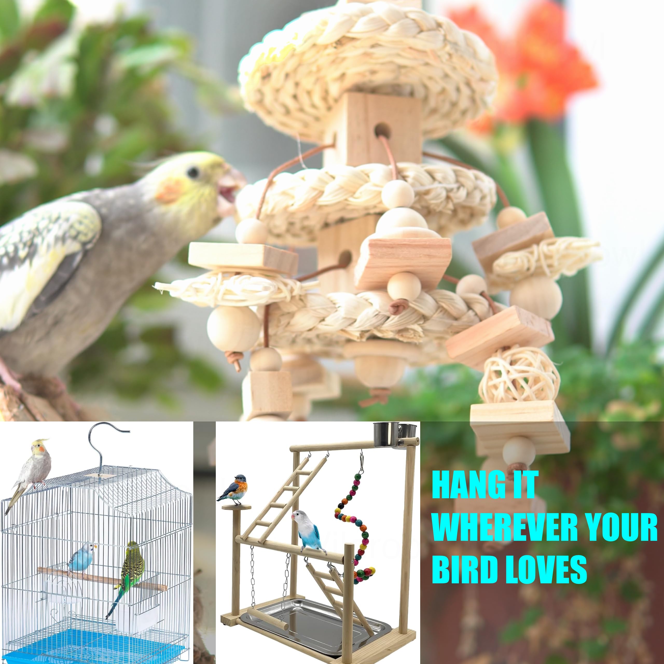 Vildroohowl suspendu en cage avec conure, stimulation et jeu