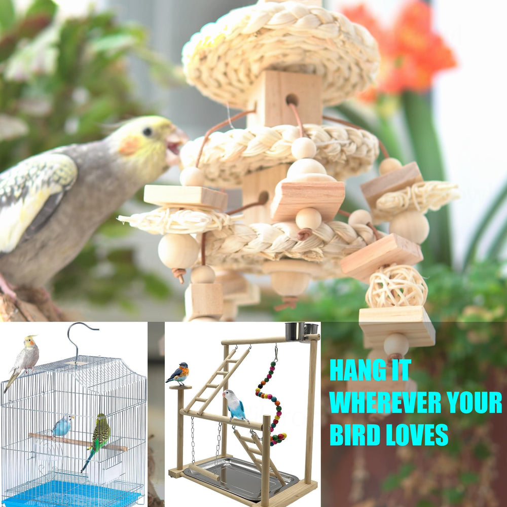 Vildroohowl suspendu en cage avec conure, stimulation et jeu