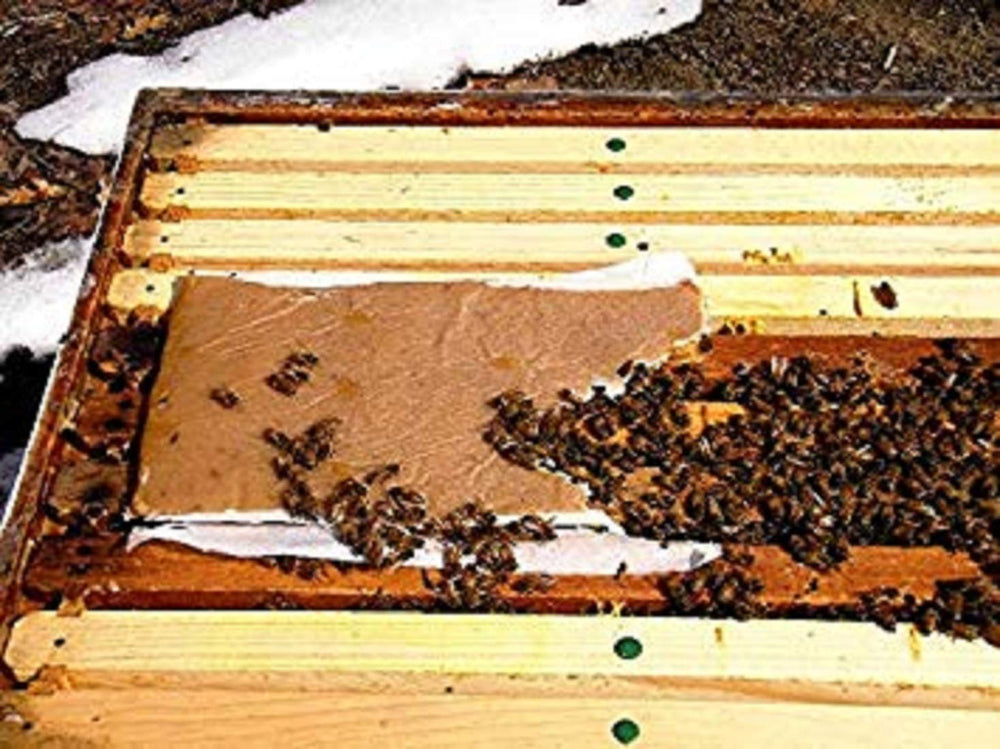 VILLAGE GIFT IMPORTERS patty posé sur cadres de ruche facilitant l'accès des abeilles