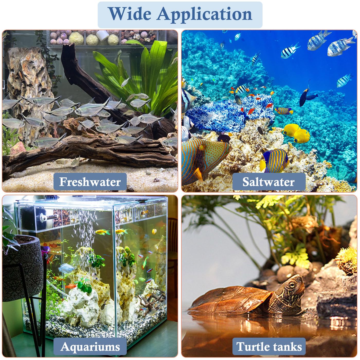 VILLNO installation dans un aquarium planté améliorant apparence et qualité d'eau