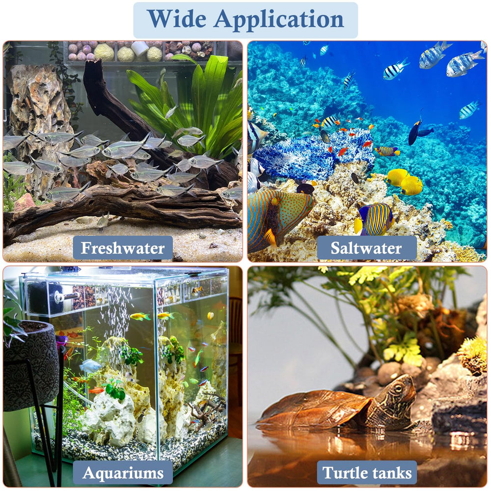 VILLNO installation dans un aquarium planté améliorant apparence et qualité d'eau