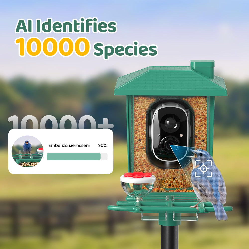 VIMKIM bol nourriture intégré pour nourrir et filmer oiseaux