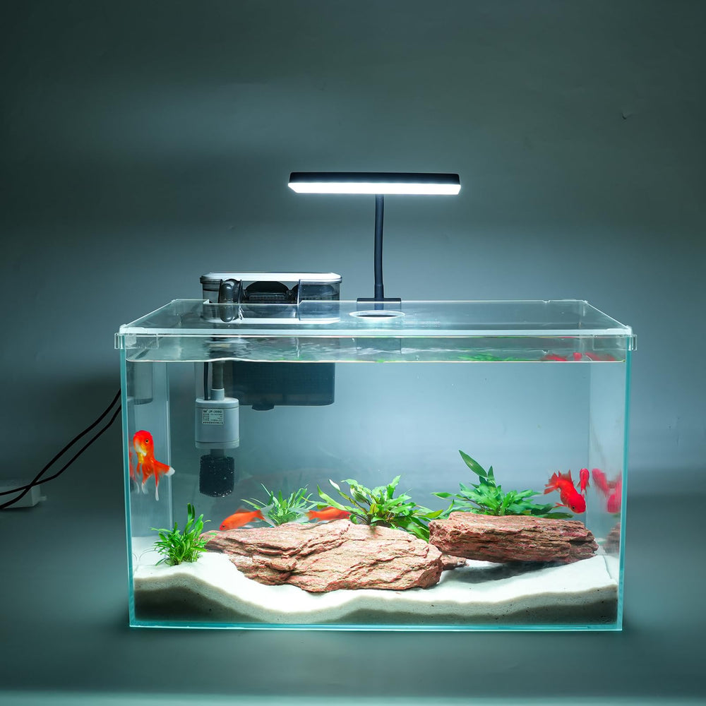 Vimvins aquarium 10 gallons face complet montrant kit prêt à l'emploi