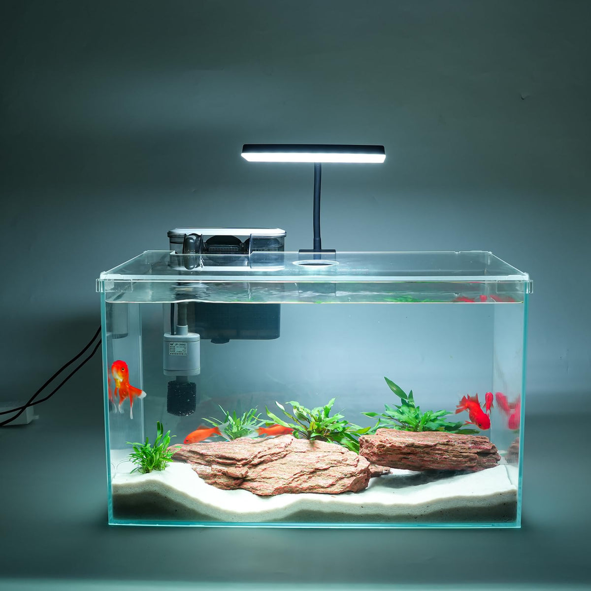 Vimvins aquarium 10 gallons face complet montrant kit prêt à l'emploi