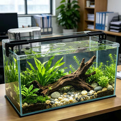Vimvins aquarium 10 gallons face avant montrant clarté et design