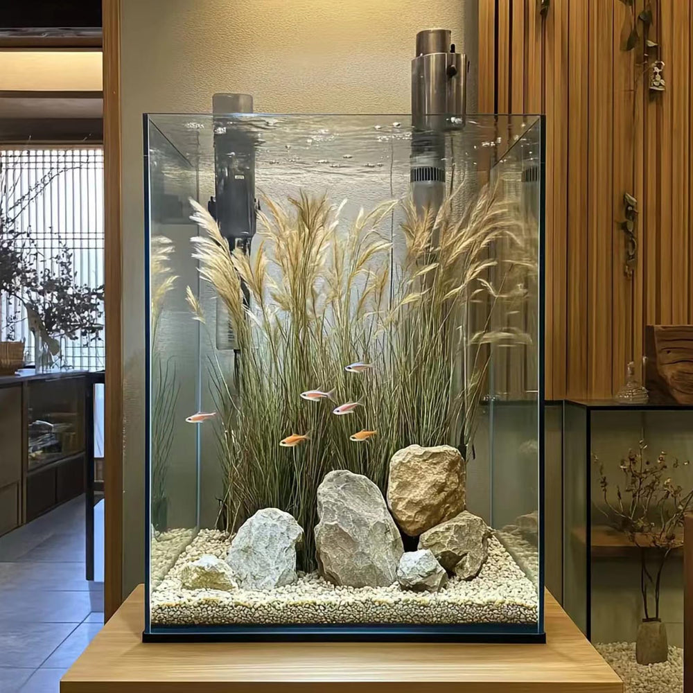 Vimvins décor planté avec crevettes illustrant un nano-écosystème