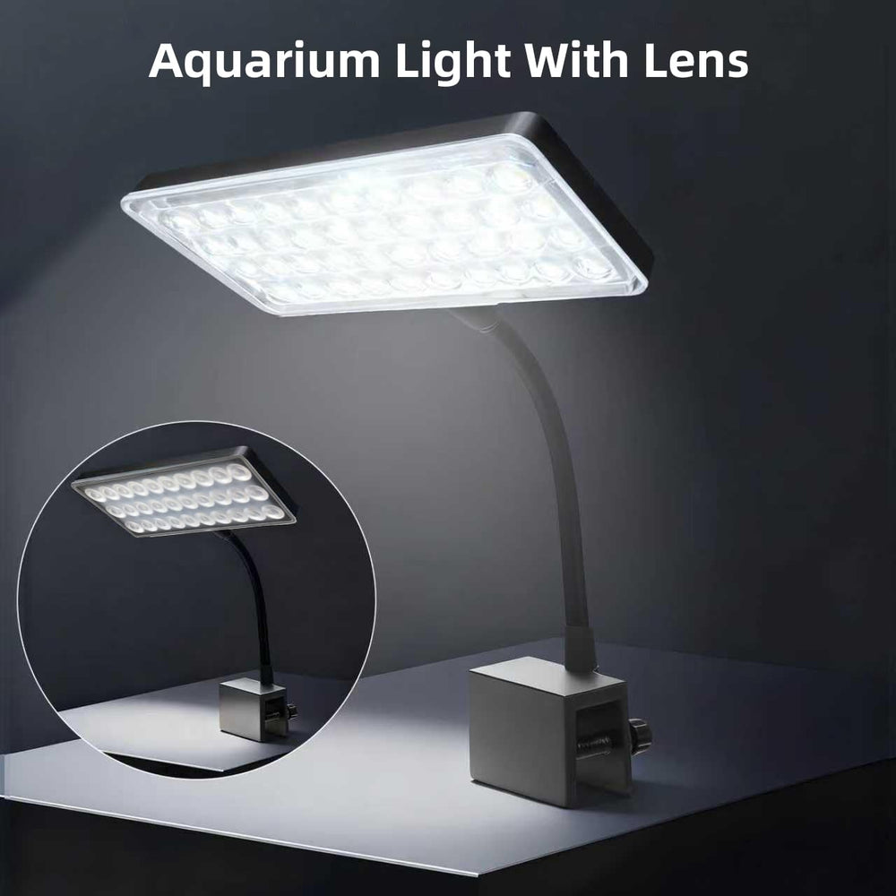 Vimvins aquarium dans salon montrant esthétique apaisante et décorative