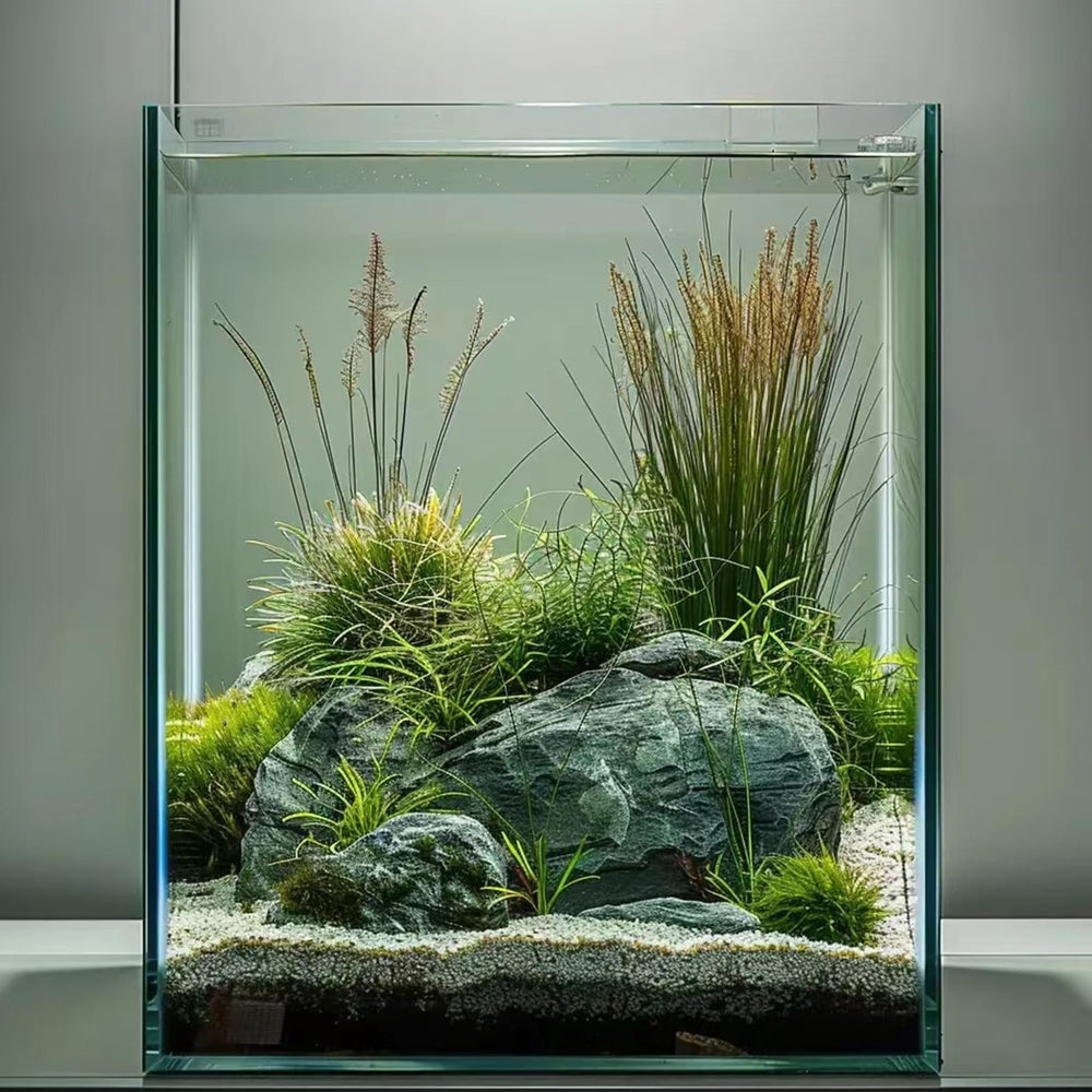 Vimvins vue avant de l'aquarium montrant la clarté et l'esthétique