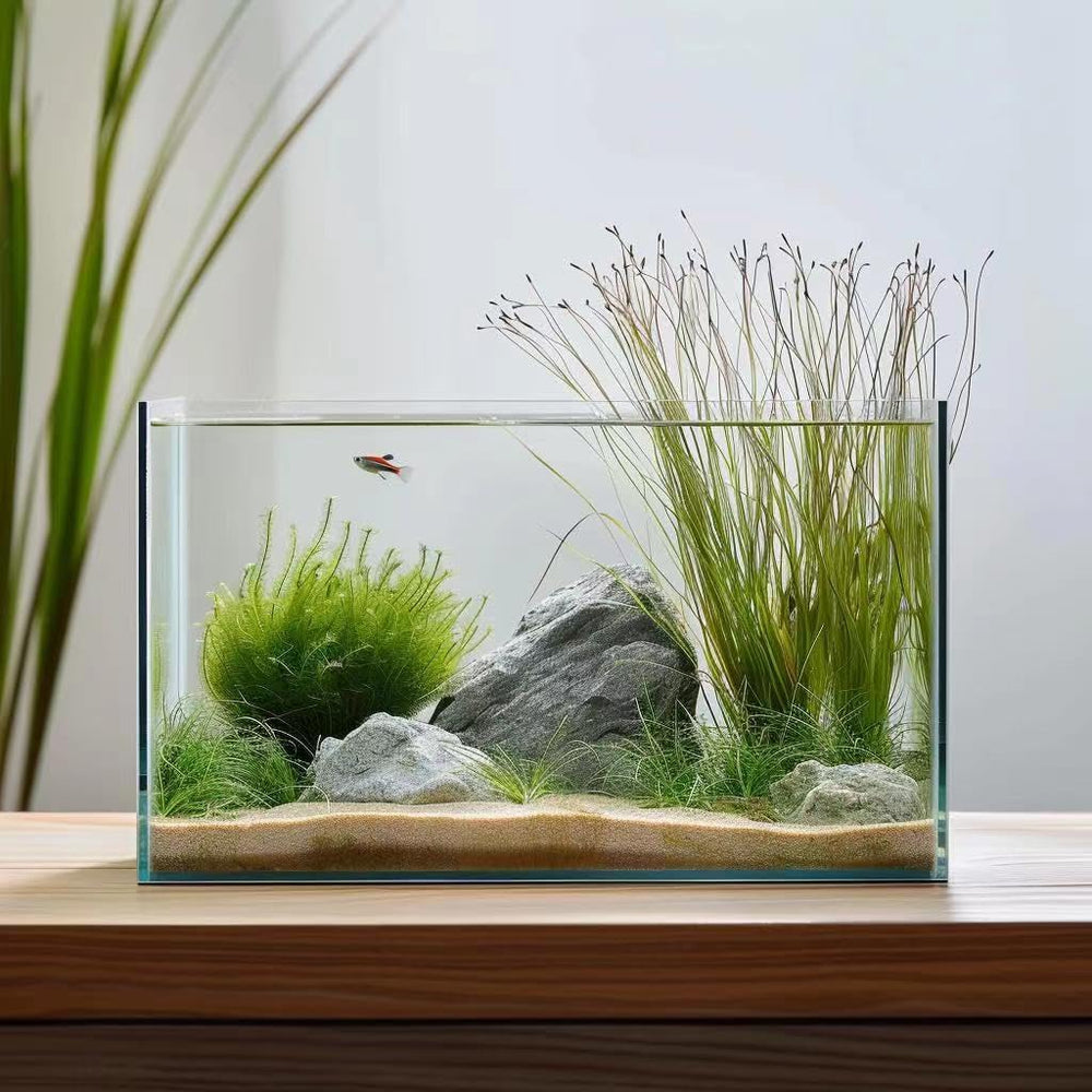 Vimvins aquarium face avant montrant visibilité maximale et esthétique