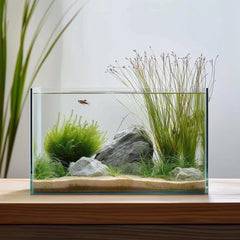 Vimvins aquarium face avant montrant visibilité maximale et esthétique