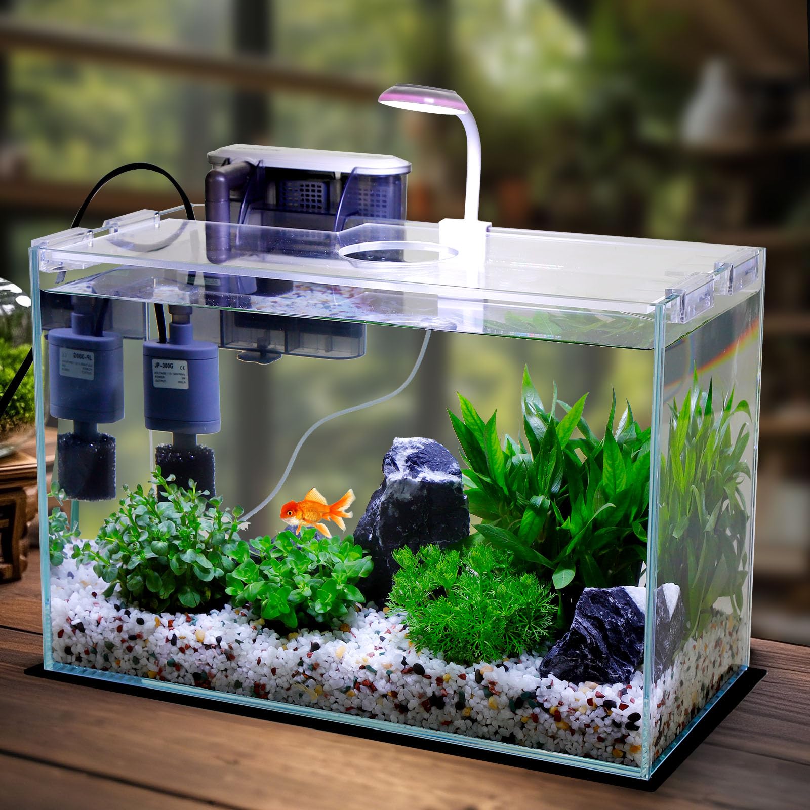 Vimvins bac en verre 5 gallons vue frontale pour petit espace