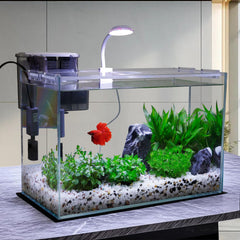Vimvins éclairage LED ajustable créant ambiance et couleurs vives