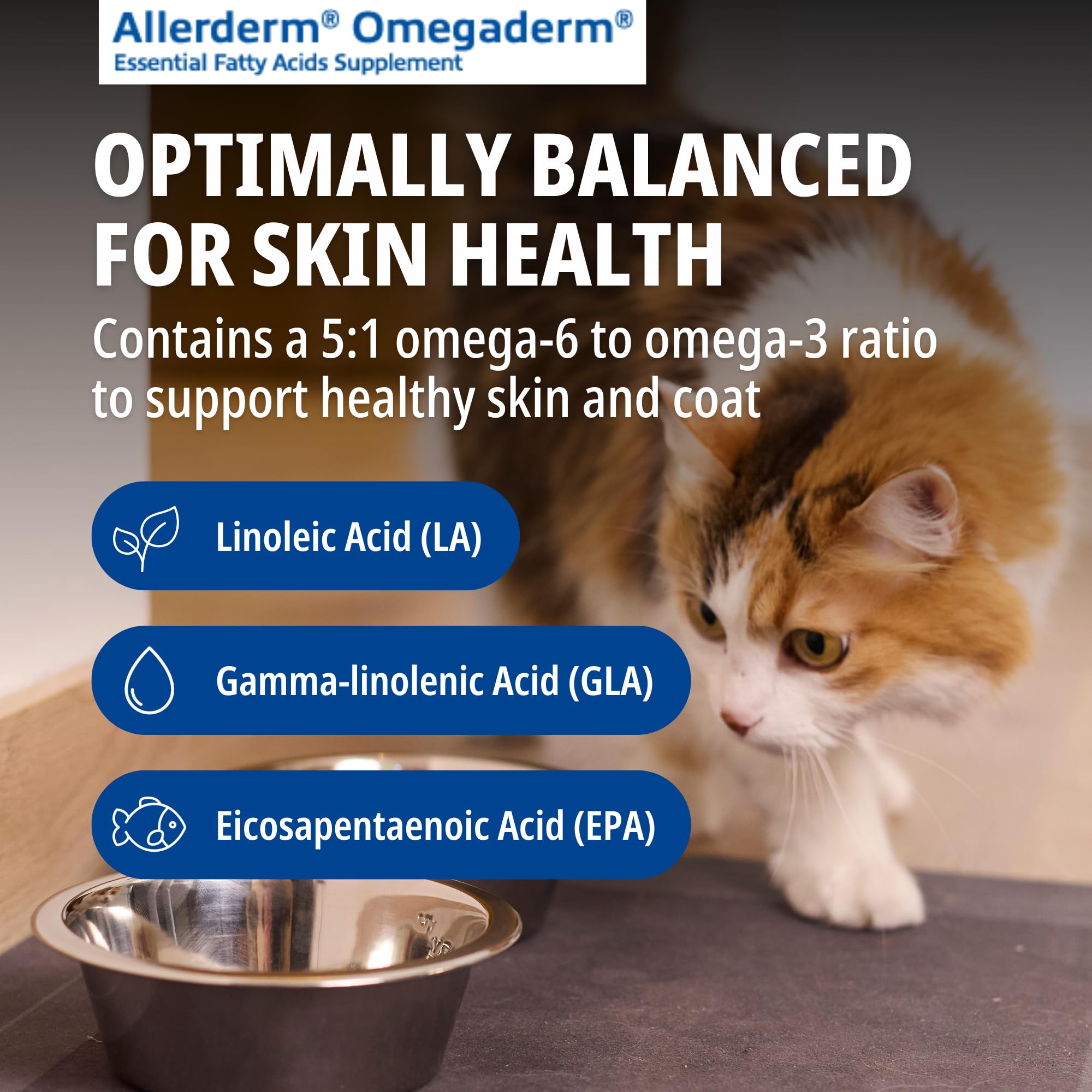 Virbac Allerderm Omegaderm versé sur nourriture montrant administration propre et simple
