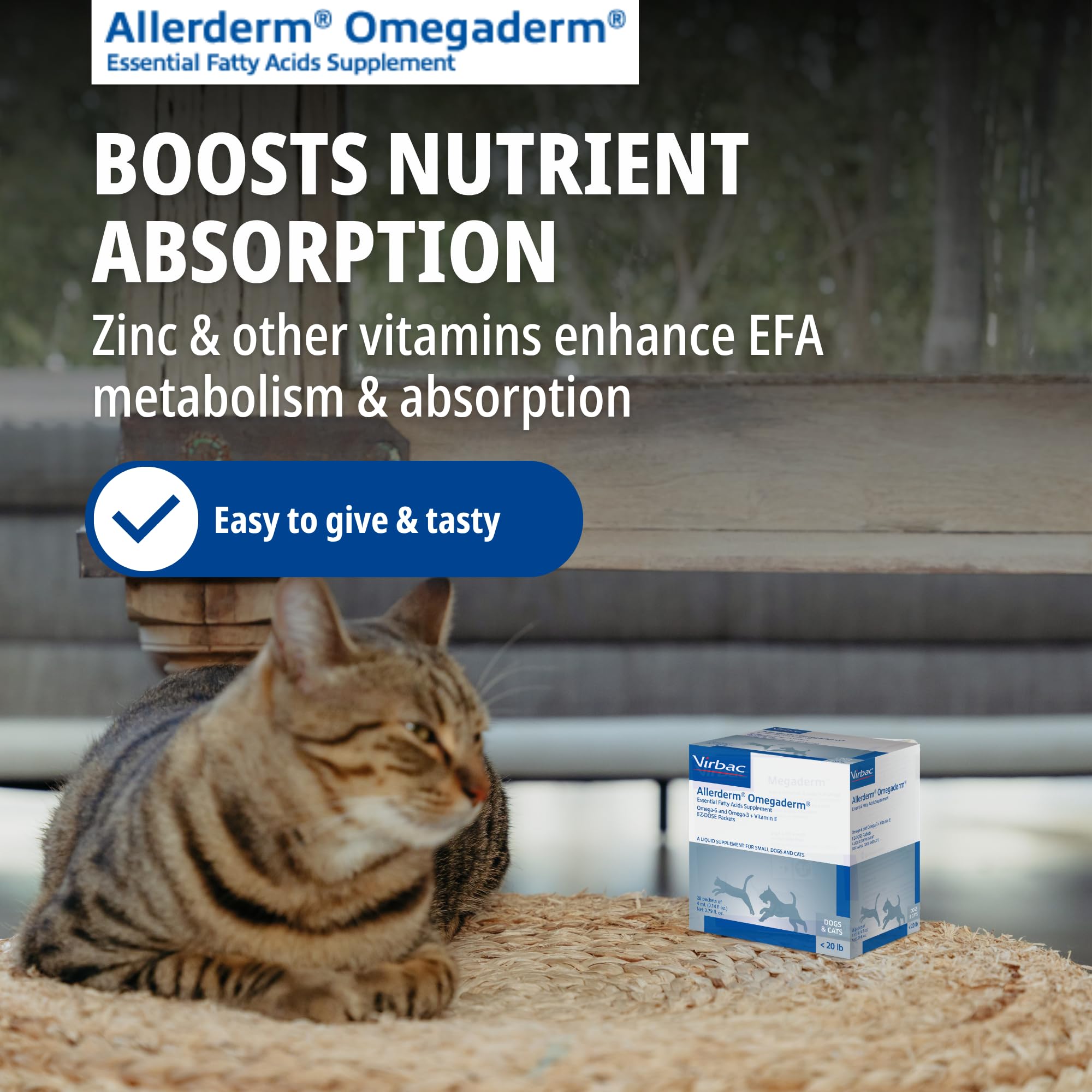 Virbac Allerderm Omegaderm photo lifestyle chat et petit chien détendus montrant confort cutané