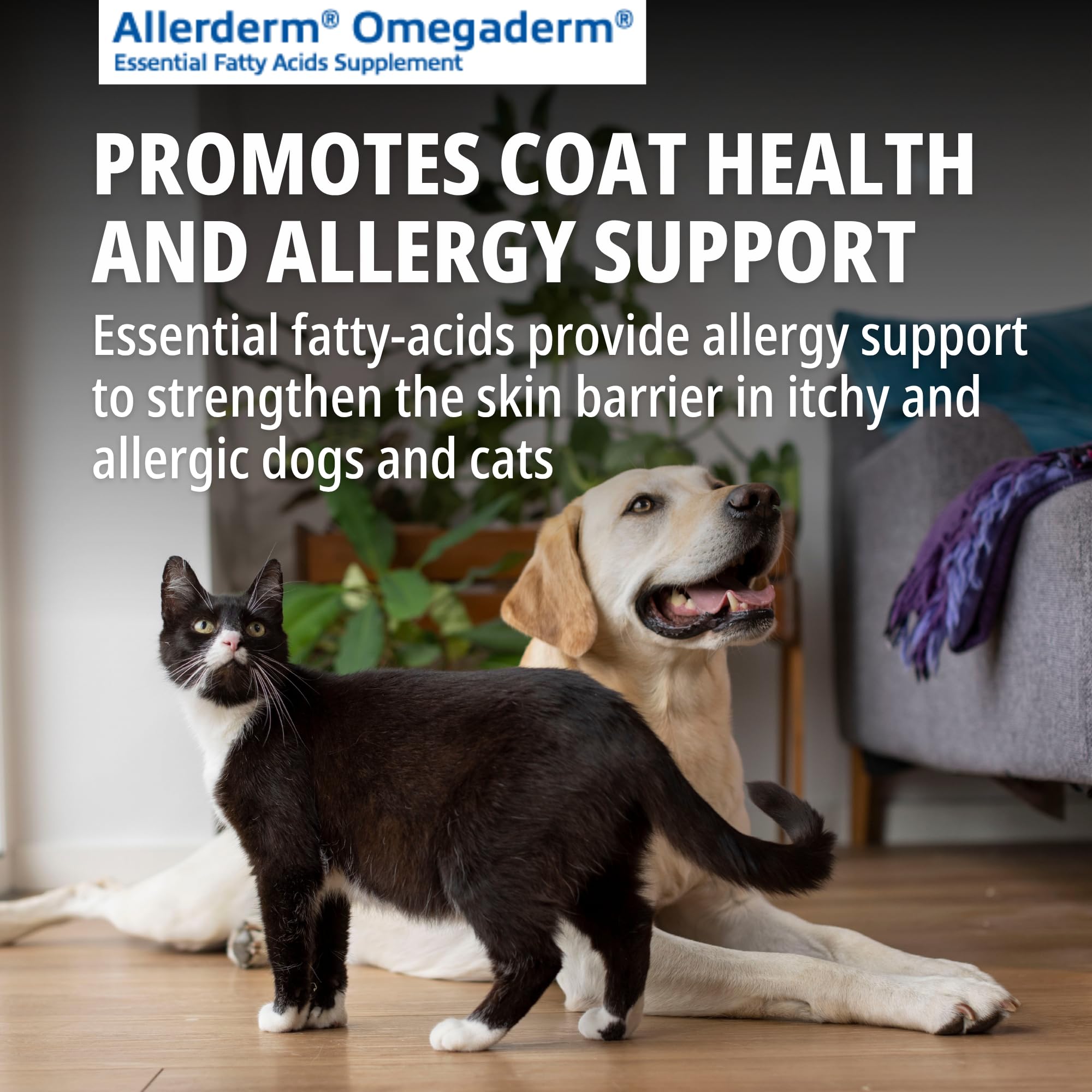 Virbac Allerderm Omegaderm texture liquide en gros plan facile à mélanger et appétente