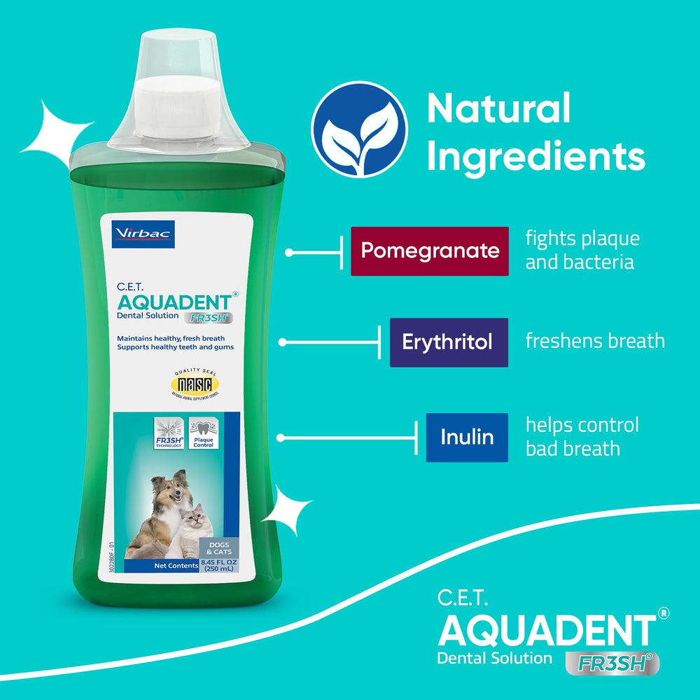 Virbac solution Aquadent Fr3sh préparée dans un bol pour chat, rafraîchit l’haleine