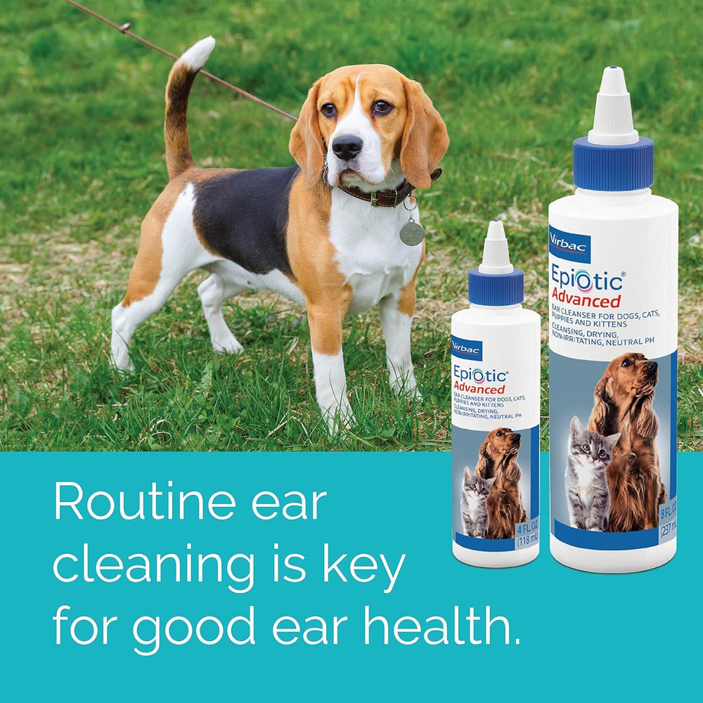 Virbac Epiotic application sur oreille de chien montrant nettoyage sécurisé