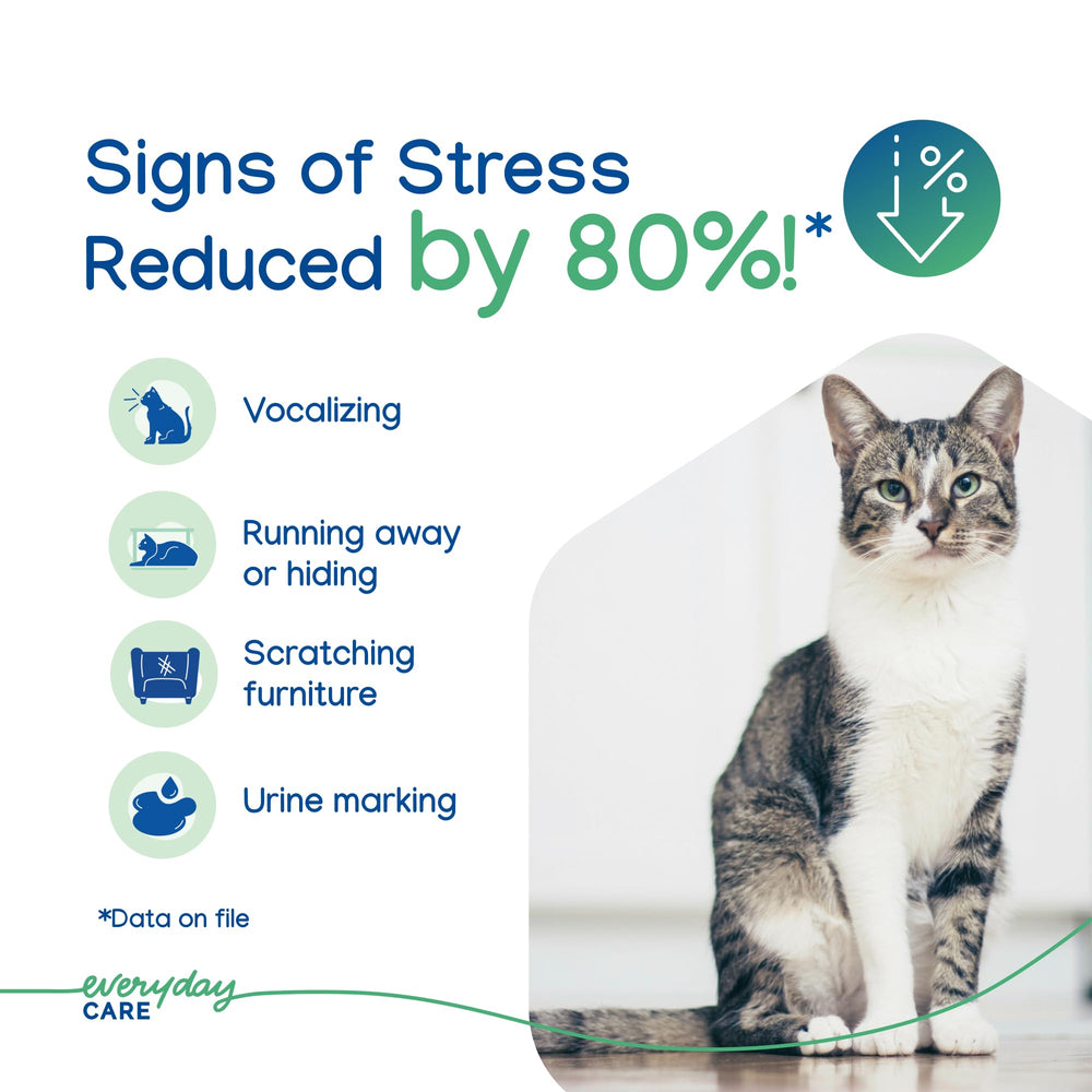 Virbac ZENIFEL en usage dans salon apaisant un chat et réduisant le stress