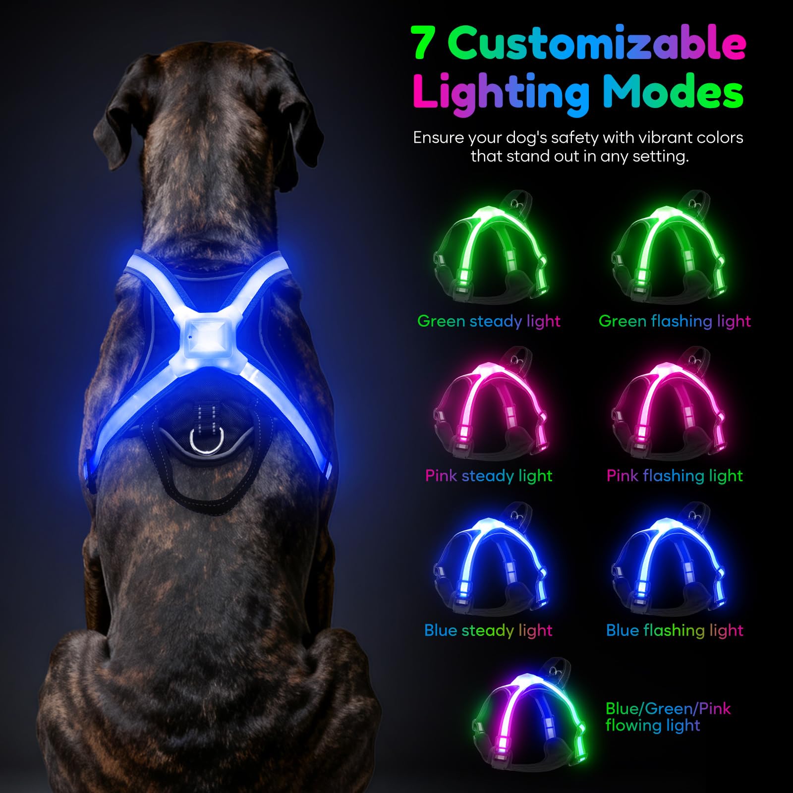 Visinite gros plan bande LED multicolore offrant signalisation claire