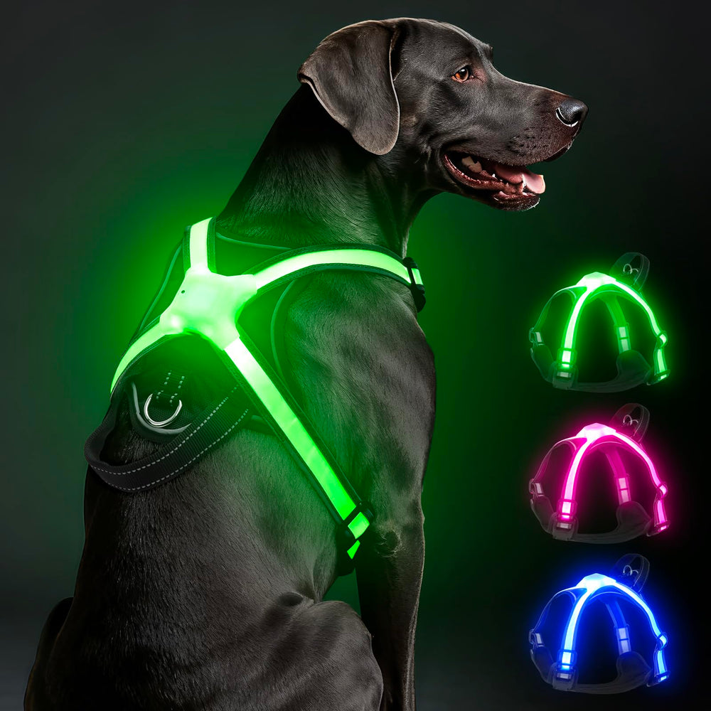 Visinite harnais LED face avant montrant l’éclairage multicolore pour sécurité