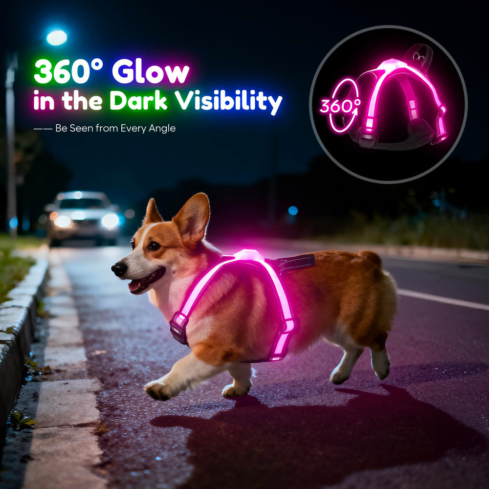 Visinite harnais en usage nocturne illuminé améliorant la visibilité