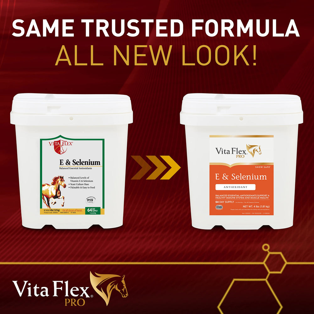Vita Flex gros plan sur texture de poudre et bénéfice meilleure absorption