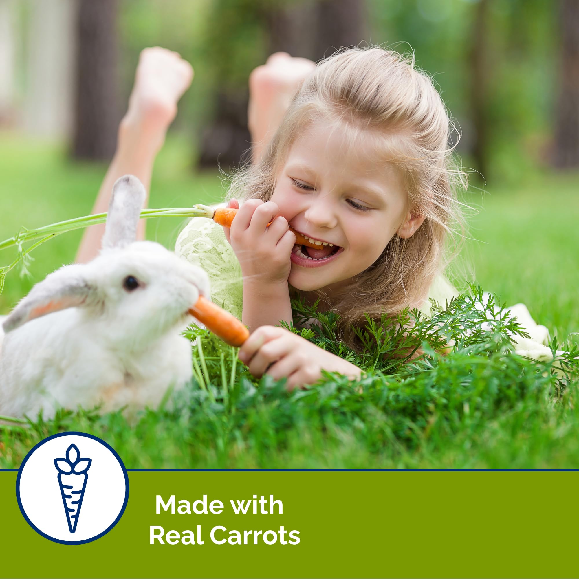 Gros plan sur la texture croquante des Slims Carrot Vitakraft pour mastication saine