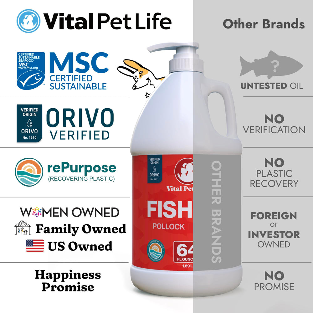 Vital Pet Life bouteille à côté d'un objet pour comparaison de taille
