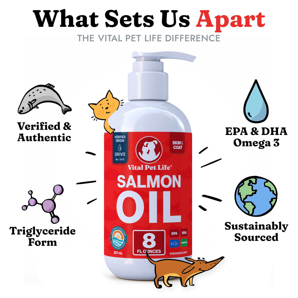 Vital Pet Life goutte d'huile versée sur croquettes améliorant appétence