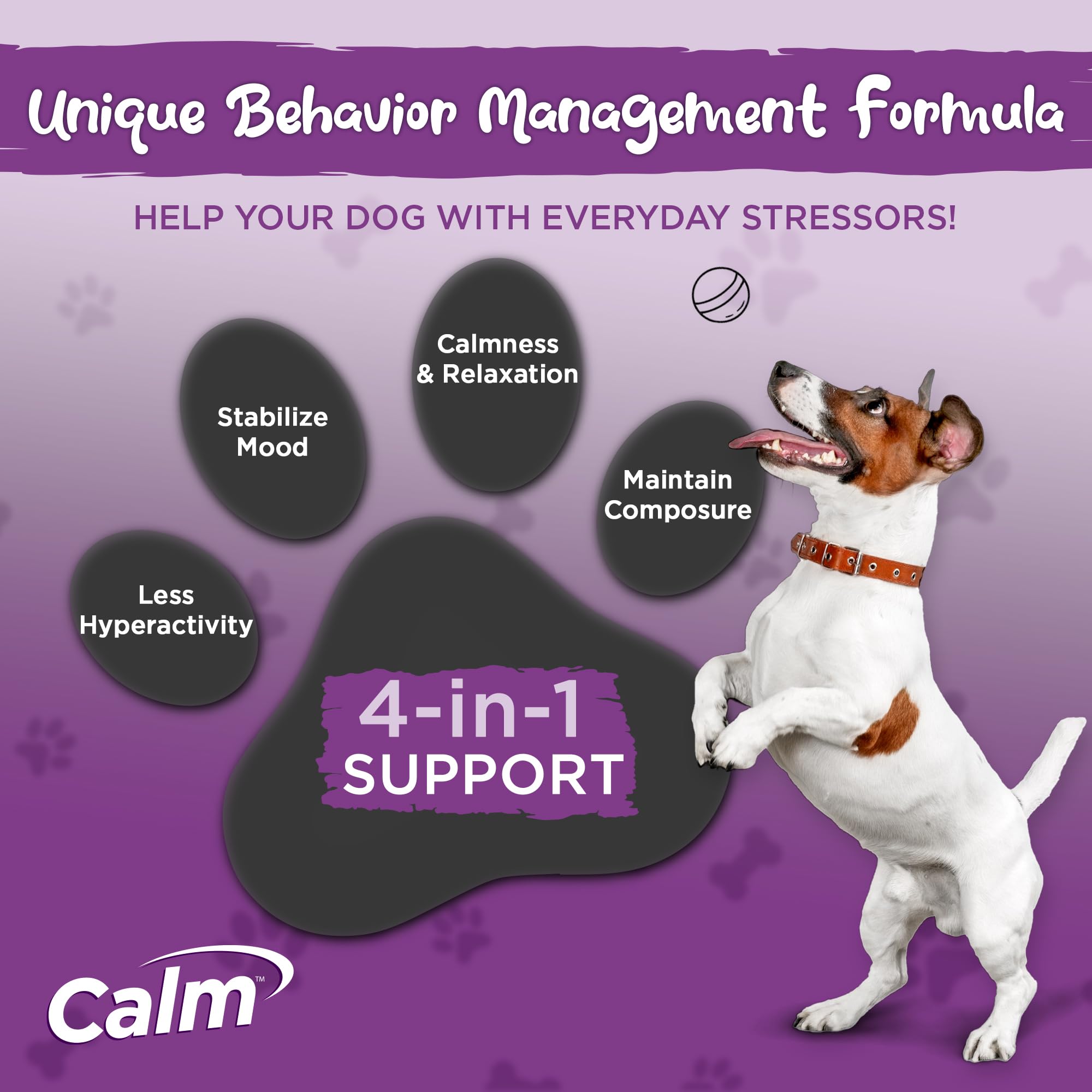 Vital Planet chien recevant friandise calmante, aide lors des situations stressantes