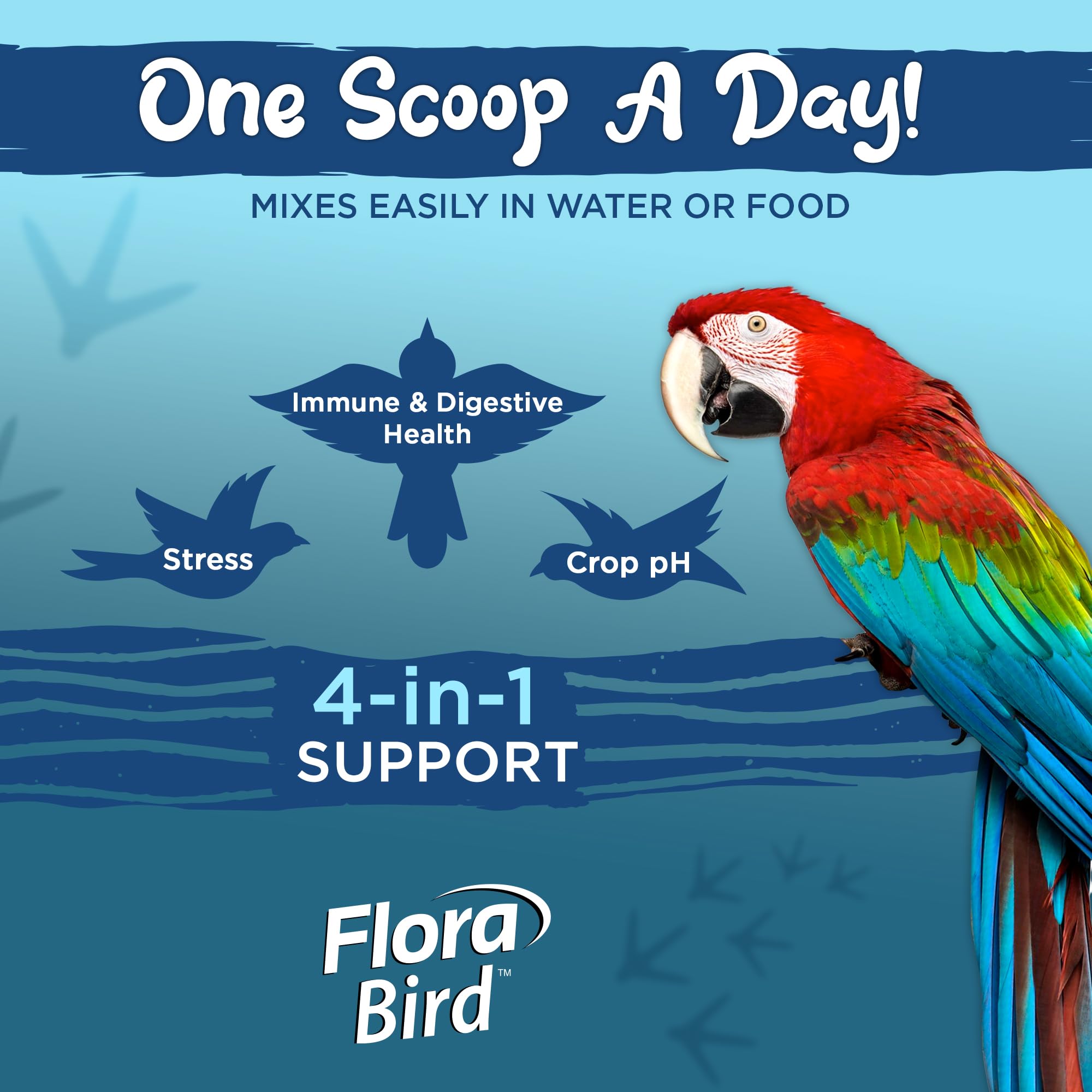Vital Planet application de Flora Bird sur nourriture pour perruche, administration simple