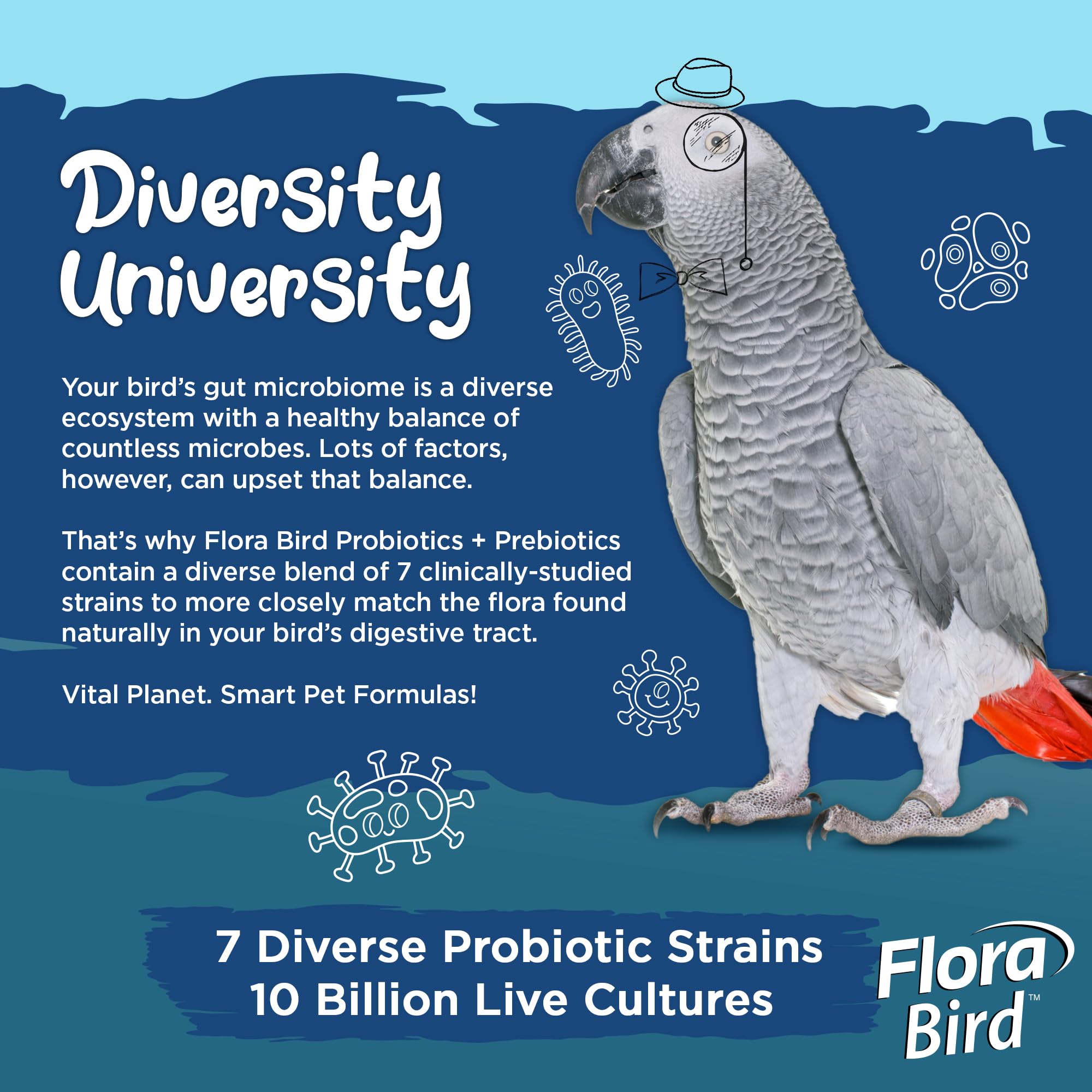Vital Planet poudre Flora Bird se dissolvant dans l'eau pour administration facile