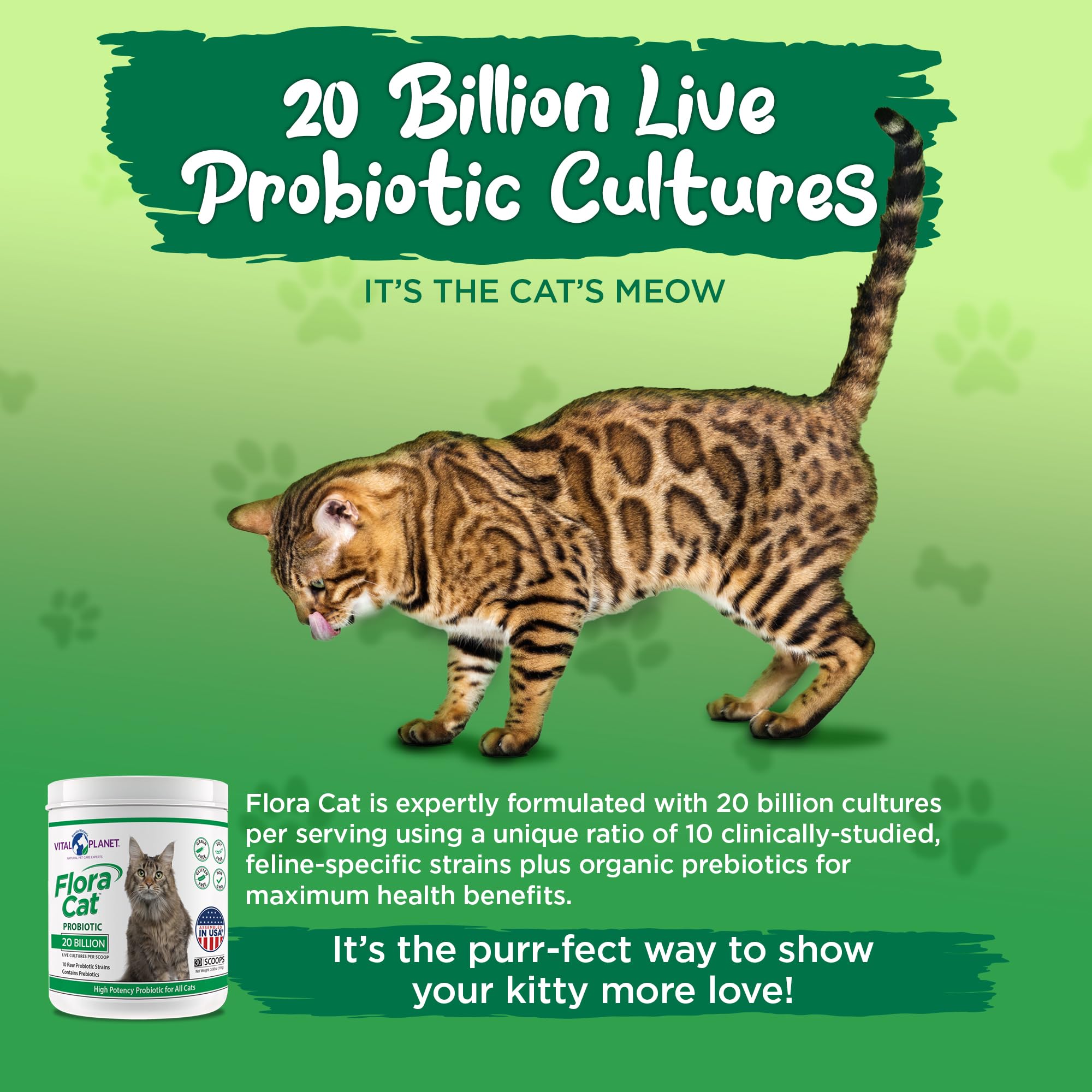 Vital Planet scène de vie avec chat acceptant la nourriture montrant l'acceptation facile
