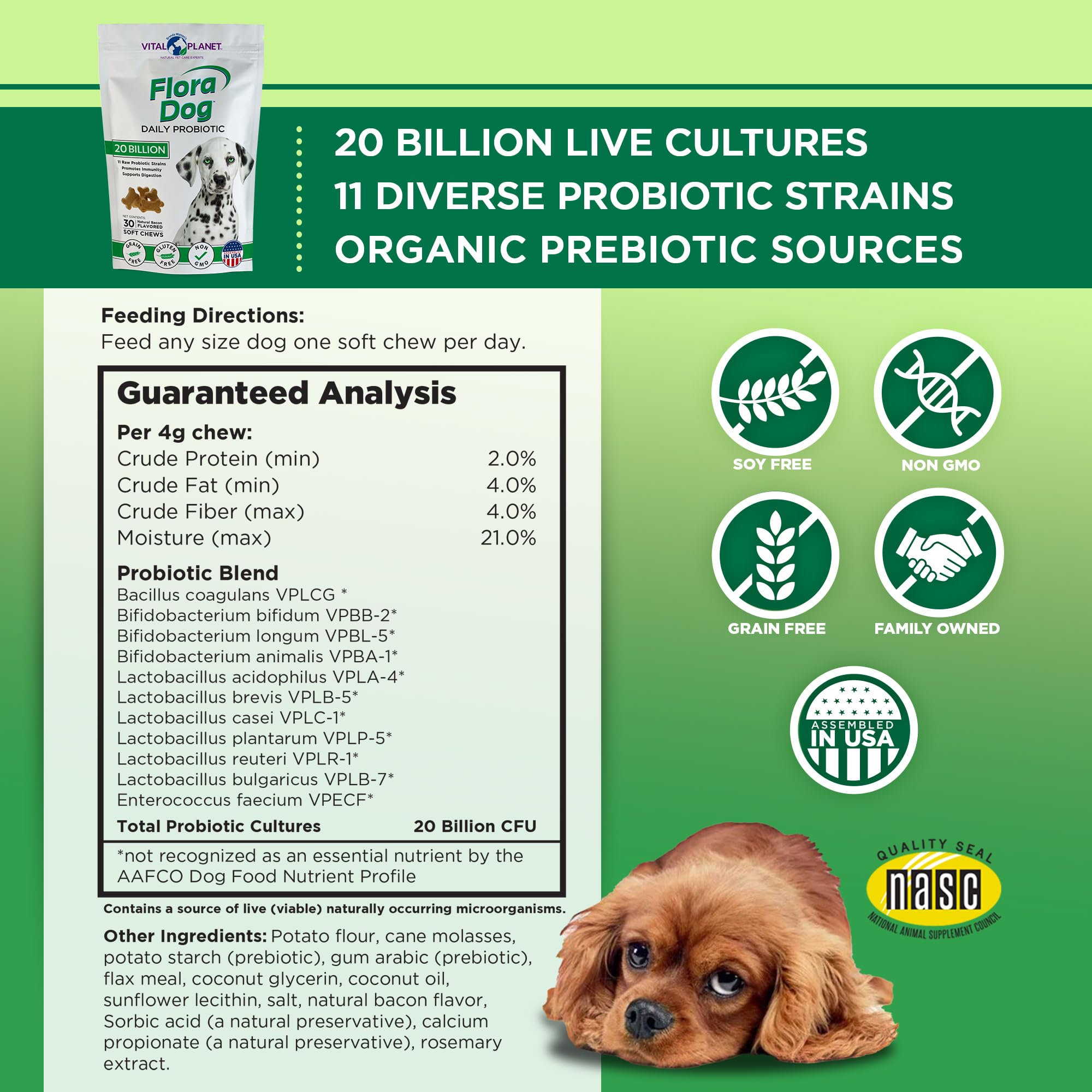 Vital Planet bouchée molle gros plan montrant saveur bacon appétente pour chiens