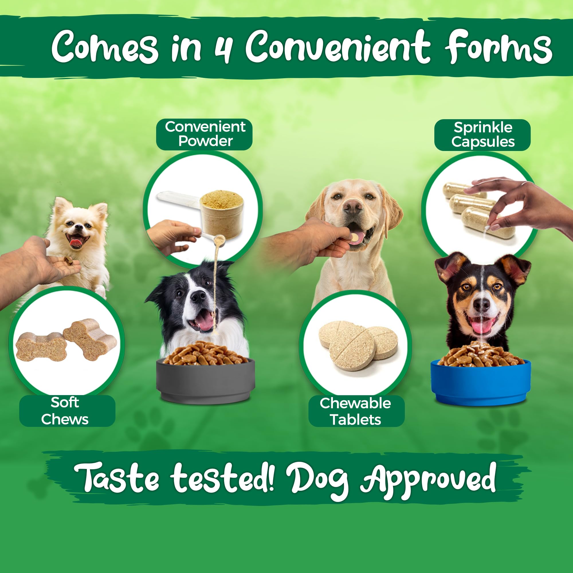 Vital Planet mise en scène quotidienne montrant chien recevant complément avec joie