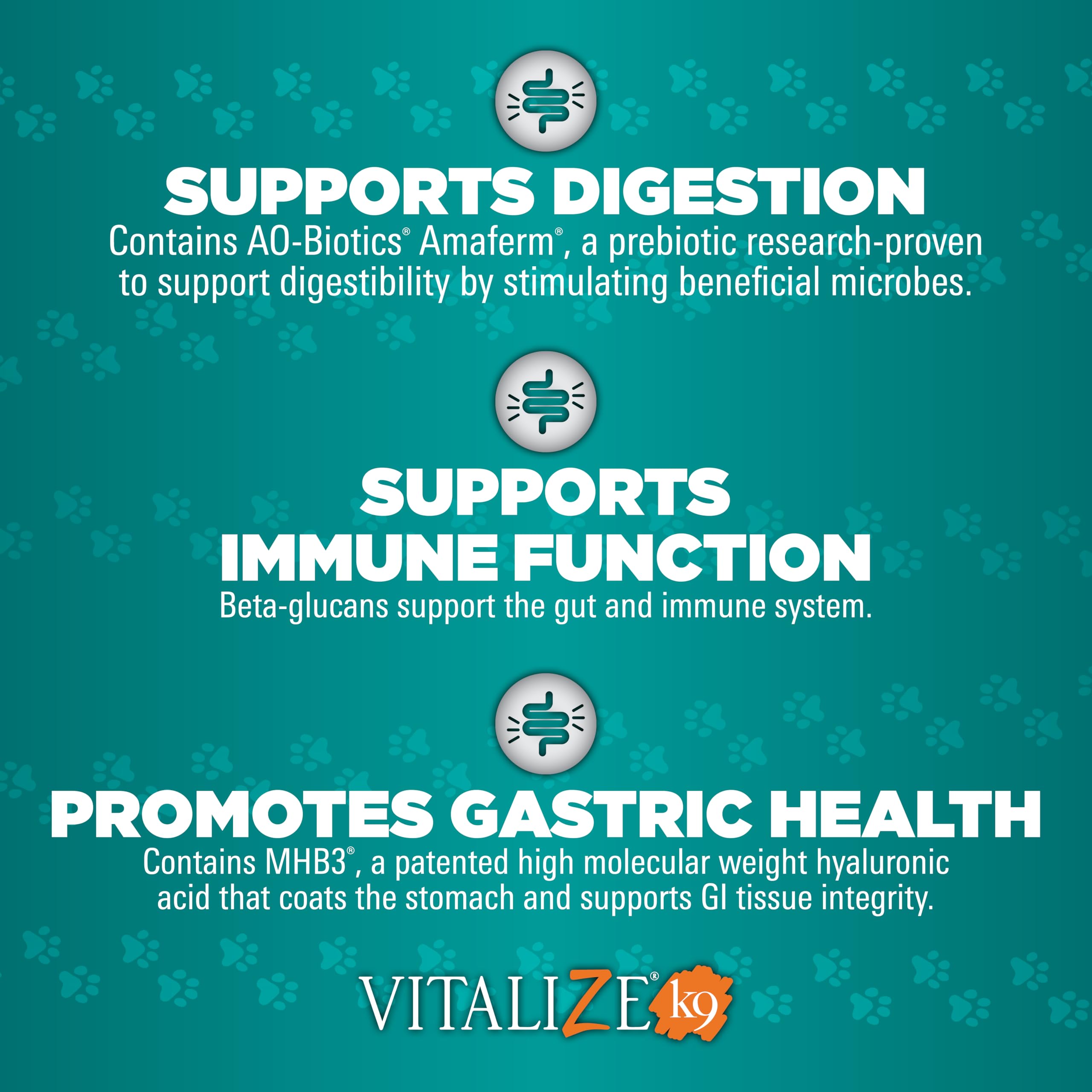 Vitalize Alimend K9 étiquette lisible détail ingrédients naturels