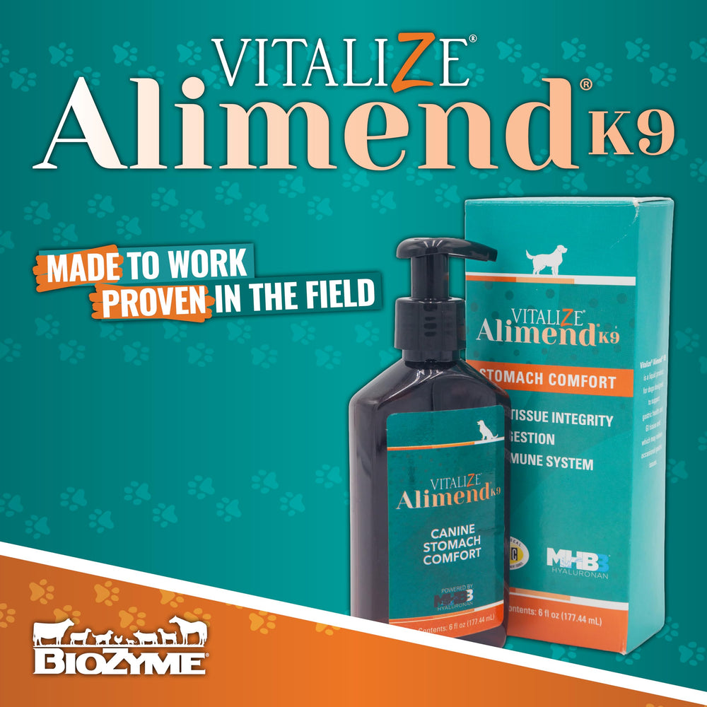 Vitalize Alimend K9 chien buvant amélioration bien-être digestif