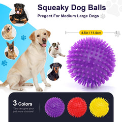 VITEVER balle tenue en main illustrant diamètre adapté au chien