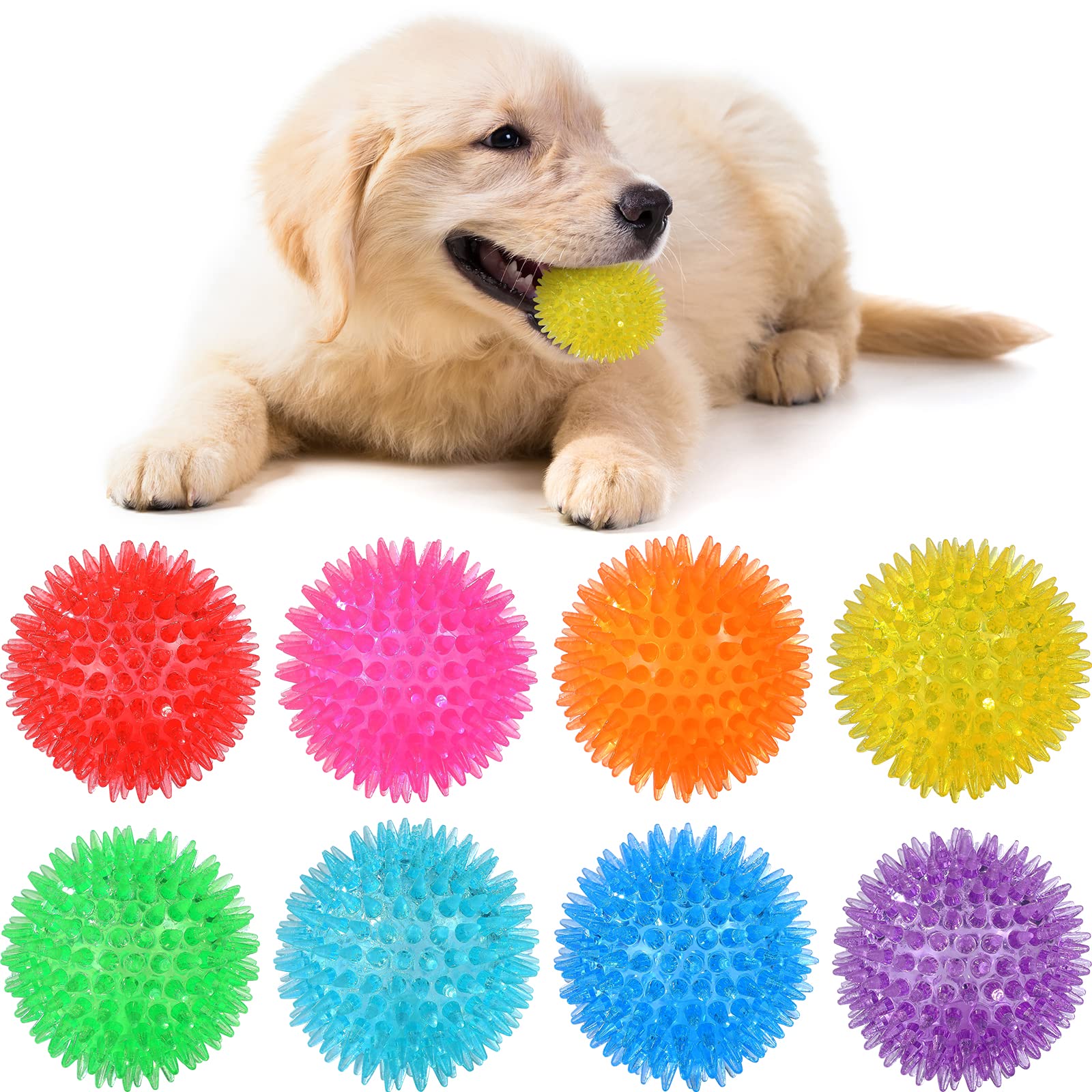 VITEVER comparaison taille montrant format 2,5" adapté aux chiots