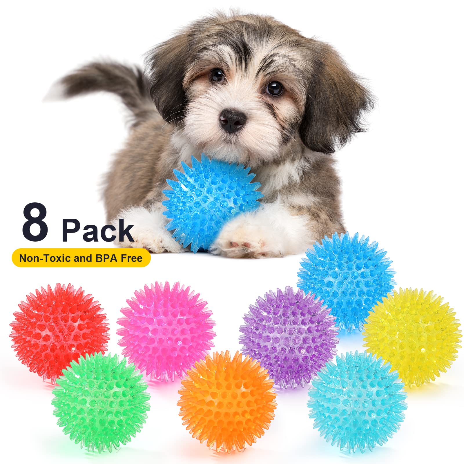 VITEVER interaction chien et propriétaire favorisant exercice et lien