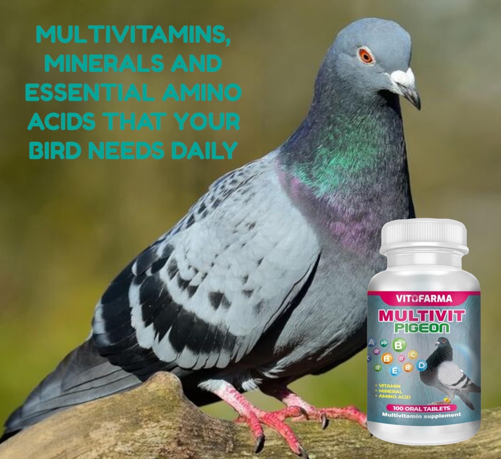 VITOFARMA comprimé gros plan, concentration contrôlée pour pigeons
