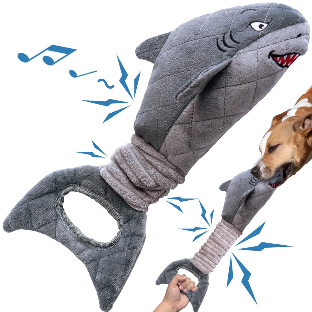 Vitscan requin de face montrant la forme et l'attrait visuel