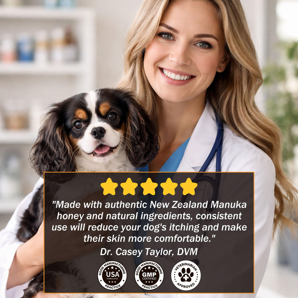 VivaElixir scène lifestyle chien heureux pelage brillant et confort