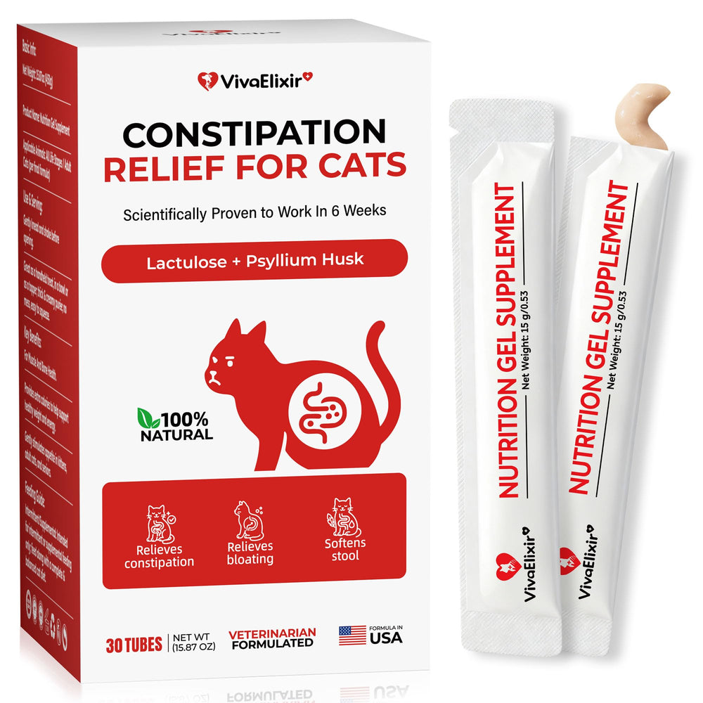 VivaElixir emballage avant montrant 30 sticks pratique et protection hygiénique