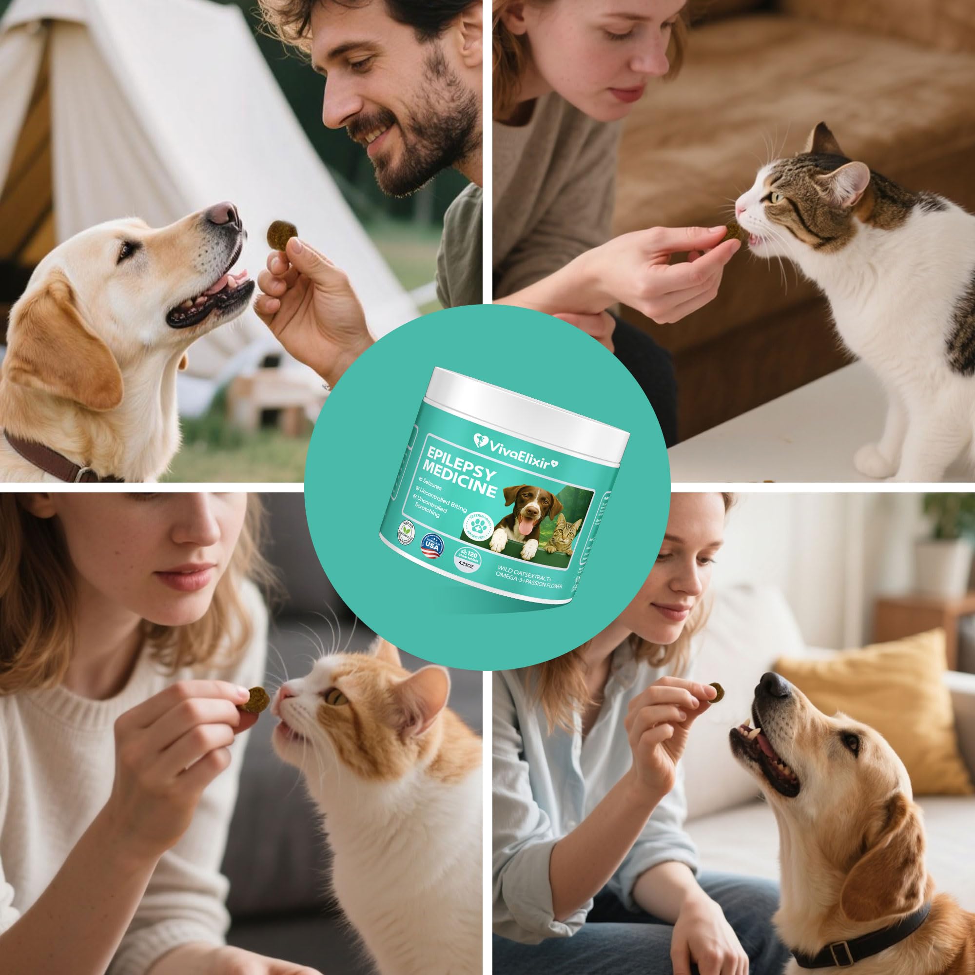 VivaElixir scène lifestyle chien calme après prise illustrant sérénité